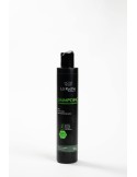 Shampoing - Cheveux secs à normaux Shampoing - Cheveux secs à normaux